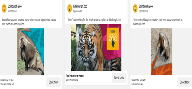 Animal Attractions - Facebook-1